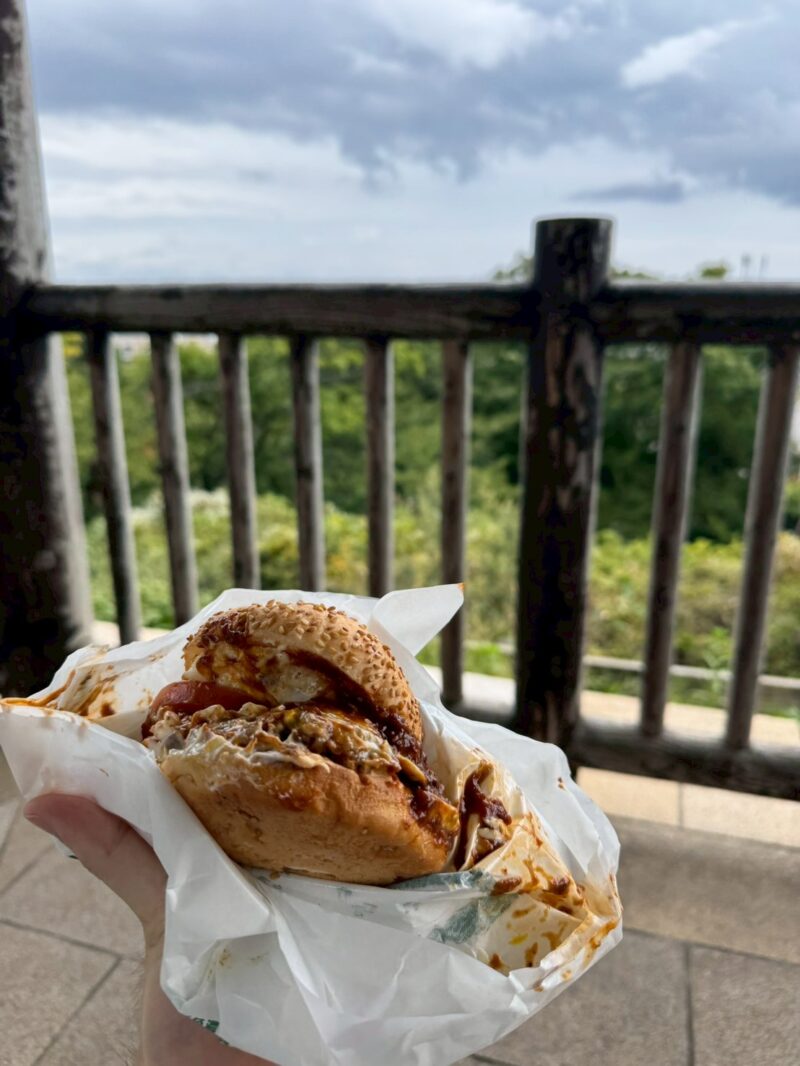 函館公園の展望台でラッキーピエロのバーガーを食べる