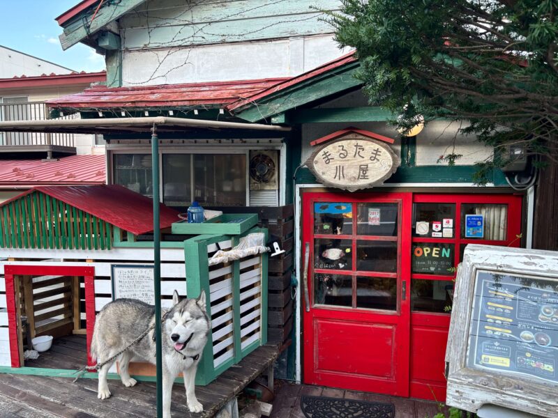 函館 まるたま小屋の外観と看板犬のハスキー