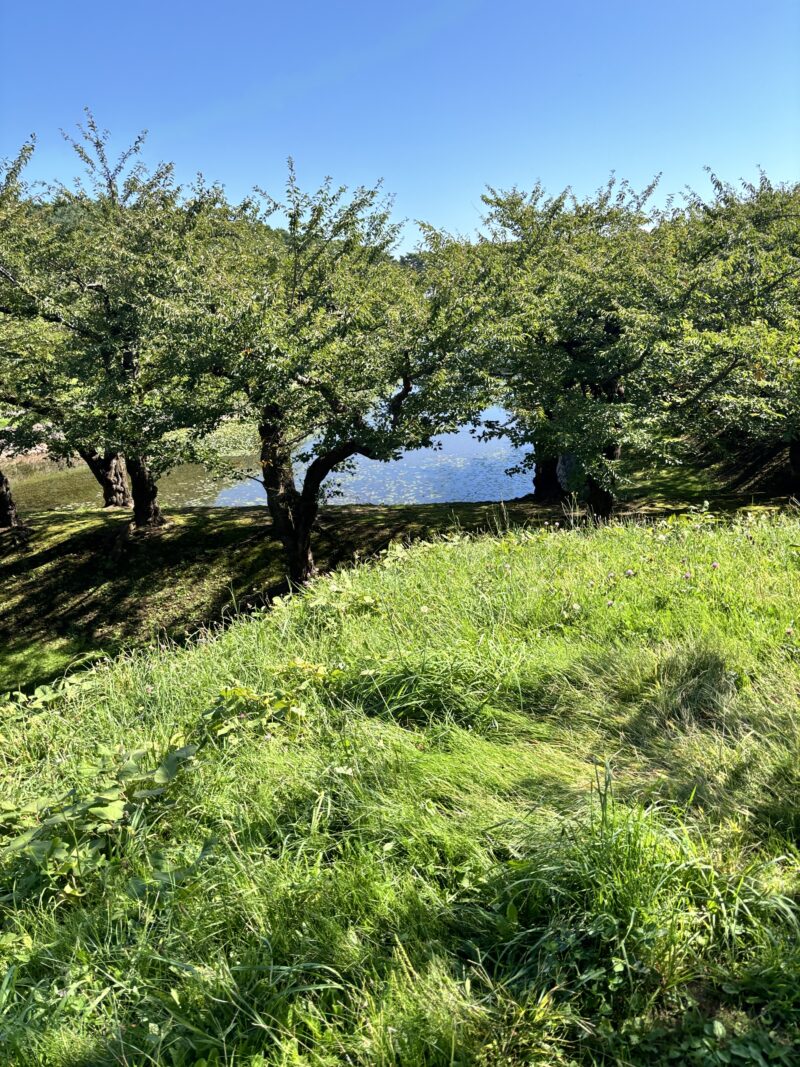 五稜郭公園の堀と土手