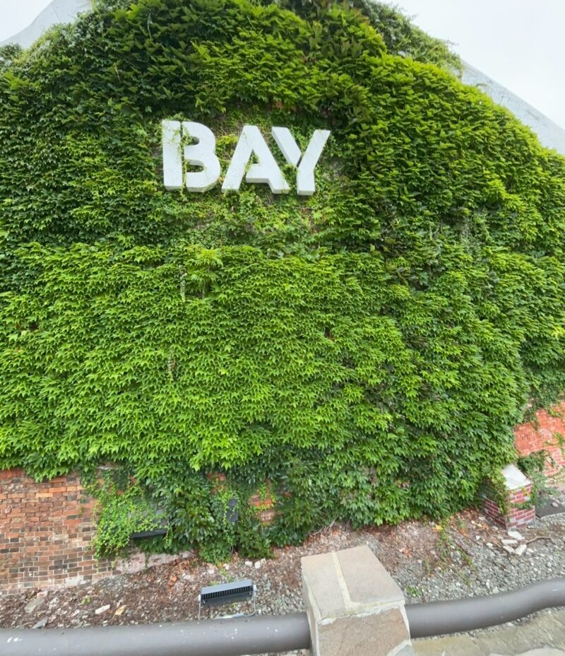 函館　赤レンガ倉庫にあるBAY