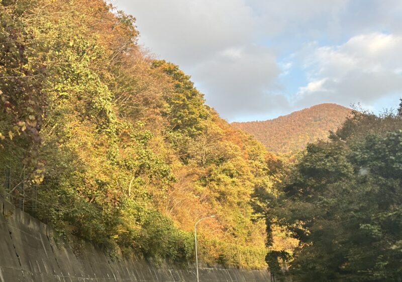 山形県東根に向かう国道48号線の紅葉