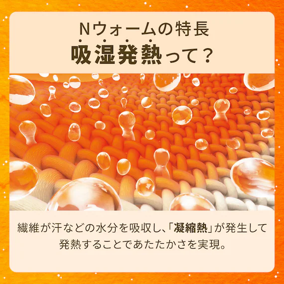 ニトリNウォームの吸湿発熱を解説