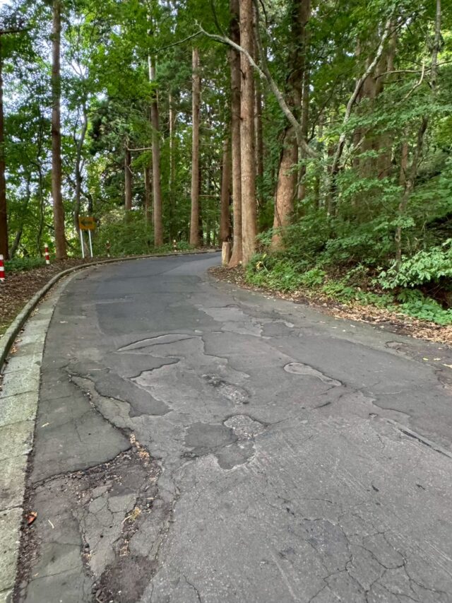 函館山のハイキング写真