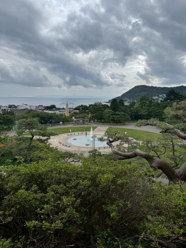 函館公園の展望台からの眺め