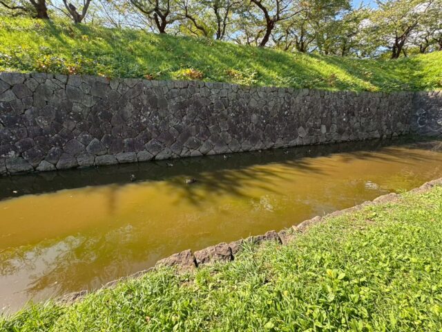 五稜郭公園の土手