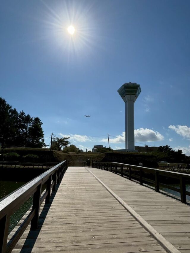 五稜郭公園二の橋から見える五稜郭タワーと飛行機