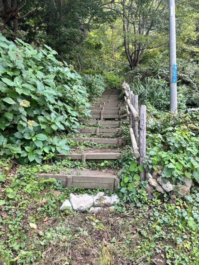 碧血碑へ向かう階段