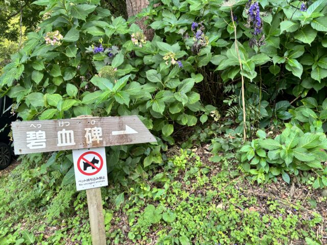 碧血碑への方向を示す看板